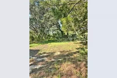 12070 NE 63rd Place, Williston, FL 32696 - Photo 45