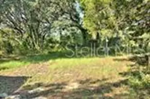 12070 NE 63rd Pl, Williston, FL 32696 - Photo 45