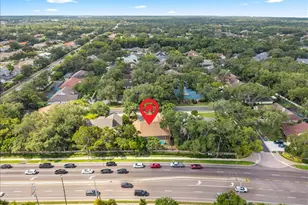 136 Sheffield Cir E, Palm Harbor, FL 34683 - Photo 67
