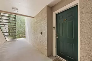 18107 Peregrines Perch Pl, Lutz, FL 33558 - Photo 9