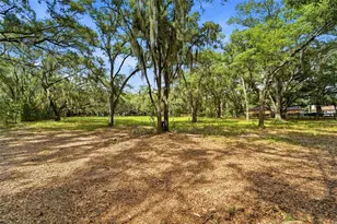 1918 Sydney Rd, Valrico, FL 33594 - Photo 27