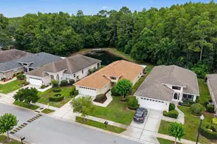 1812 Orchard Grove Ave, New Port Richey, FL 34655 - Photo 5