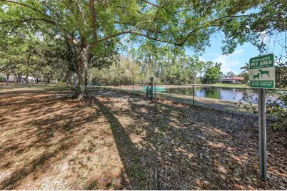 3675 Janus Way, Palm Harbor, FL 34685 - Photo 67
