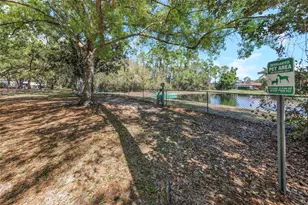 3675 Janus Way, Palm Harbor, FL 34685 - Photo 67