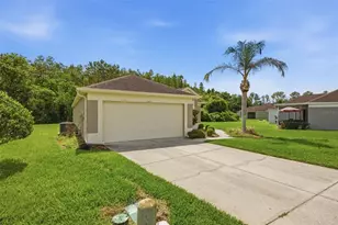 5600 Sir Barton Ct, Wesley Chapel, FL 33544 - Photo 3