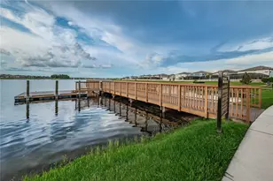 18233 Roseate Dr, Lutz, FL 33558 - Photo 73