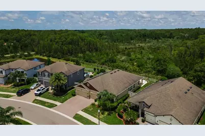 18233 Roseate Drive, Lutz, FL 33558 - Photo 49
