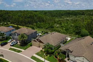 18233 Roseate Dr, Lutz, FL 33558 - Photo 49
