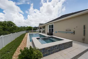 18233 Roseate Dr, Lutz, FL 33558 - Photo 45
