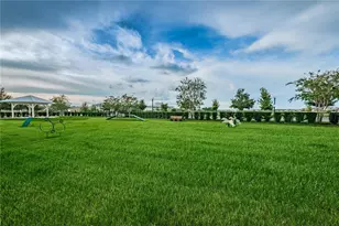 18233 Roseate Dr, Lutz, FL 33558 - Photo 87