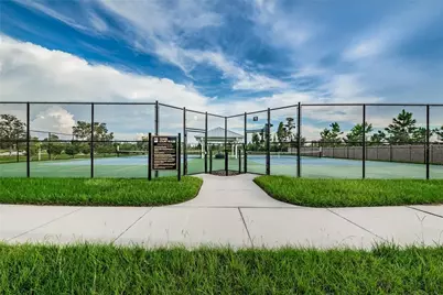 18233 Roseate Drive, Lutz, FL 33558 - Photo 83