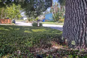 128 Edgewater Terrace, Dunedin, FL 34698 - Photo 45