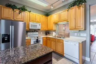 6714 Dali Ave, Land O Lakes, FL 34637 - Photo 7