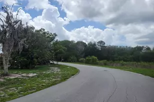 9022 Lingrove Rd, Weeki Wachee, FL 34613 - Photo 49