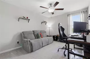 5052 White Chicory Dr, Apollo Beach, FL 33572 - Photo 23