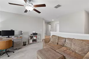 5052 White Chicory Dr, Apollo Beach, FL 33572 - Photo 29