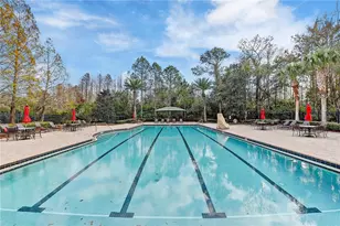 8758 Crystal Creek Ct, Land O Lakes, FL 34638 - Photo 77