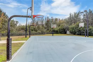 8758 Crystal Creek Ct, Land O Lakes, FL 34638 - Photo 67