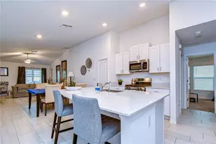 35099 Ackley Trce, Zephyrhills, FL 33541 - Photo 5
