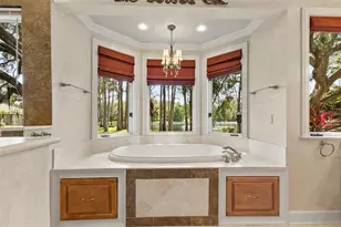 16310 Avila Blvd, Tampa, FL 33613 - Photo 45