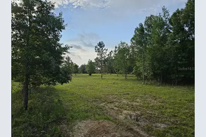 0 SW Spirit Ave Avenue, Fort White, FL 32038 - Photo 17