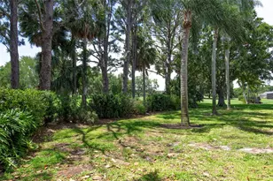 3119 Hyde Park Dr, Clearwater, FL 33761 - Photo 49