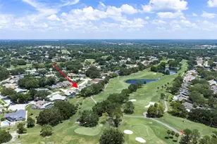 3119 Hyde Park Dr, Clearwater, FL 33761 - Photo 63