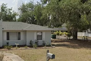 111 S Rhodes St, Mount Dora, FL 32757 - Photo 1