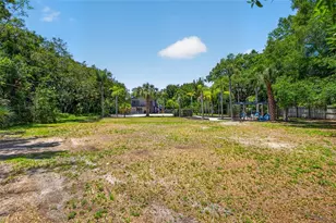 1007 State St E, Oldsmar, FL 34677 - Photo 53