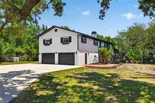 1007 State St E, Oldsmar, FL 34677 - Photo 1