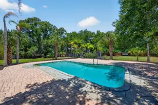 1007 State St E, Oldsmar, FL 34677 - Photo 47