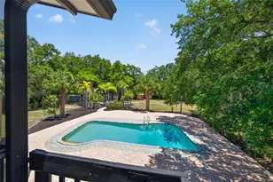 1007 State St E, Oldsmar, FL 34677 - Photo 35