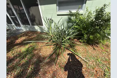 2209 Boxwood Way, Brandon, FL 33511 - Photo 25