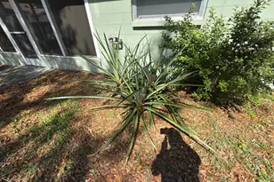 2209 Boxwood Way, Brandon, FL 33511 - Photo 25