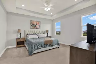 32332 Rosepine Blvd, Wesley Chapel, FL 33543 - Photo 5