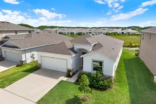 32332 Rosepine Blvd, Wesley Chapel, FL 33543 - Photo 1