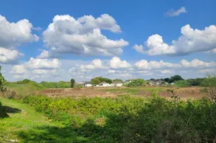 1314 Avonwood Ct, Lutz, FL 33559 - Photo 27