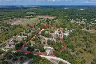 14451 Highland Rd, Wimauma, FL 33598 - Photo 69