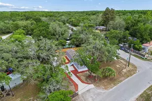12911 Davista Ave, New Port Richey, FL 34654 - Photo 37