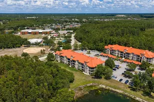 18108 Peregrines Perch Pl, Lutz, FL 33558 - Photo 39