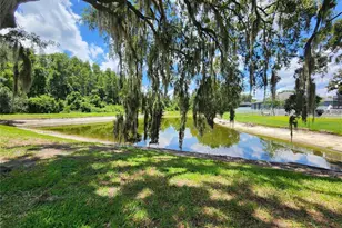 30702 Iverson Dr, Wesley Chapel, FL 33543 - Photo 15