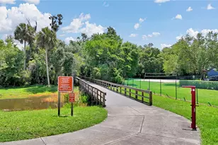 706 Sweetbriar Dr, Oldsmar, FL 34677 - Photo 39