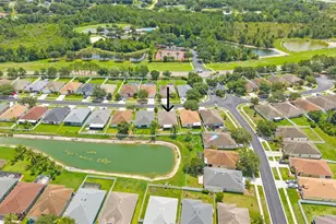 3911 Langdrum Dr, Wesley Chapel, FL 33543 - Photo 3