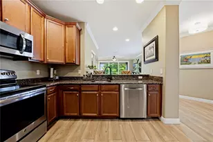 497 Harbor Ridge Dr, Palm Harbor, FL 34683 - Photo 19