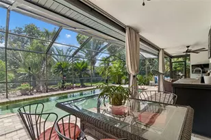 3034 Enisglen Dr, Palm Harbor, FL 34683 - Photo 39