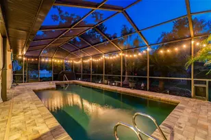 3034 Enisglen Dr, Palm Harbor, FL 34683 - Photo 75