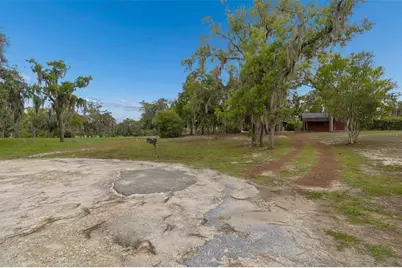 9400 Indale Drive, New Port Richey, FL 34654 - Photo 63