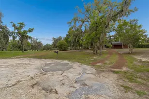 9400 Indale Dr, New Port Richey, FL 34654 - Photo 63