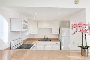 5820 N Church Ave, Tampa, FL 33614 - Photo 3