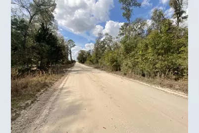 Sw Old Spanish Road, Fort White, FL 32038 - Photo 5